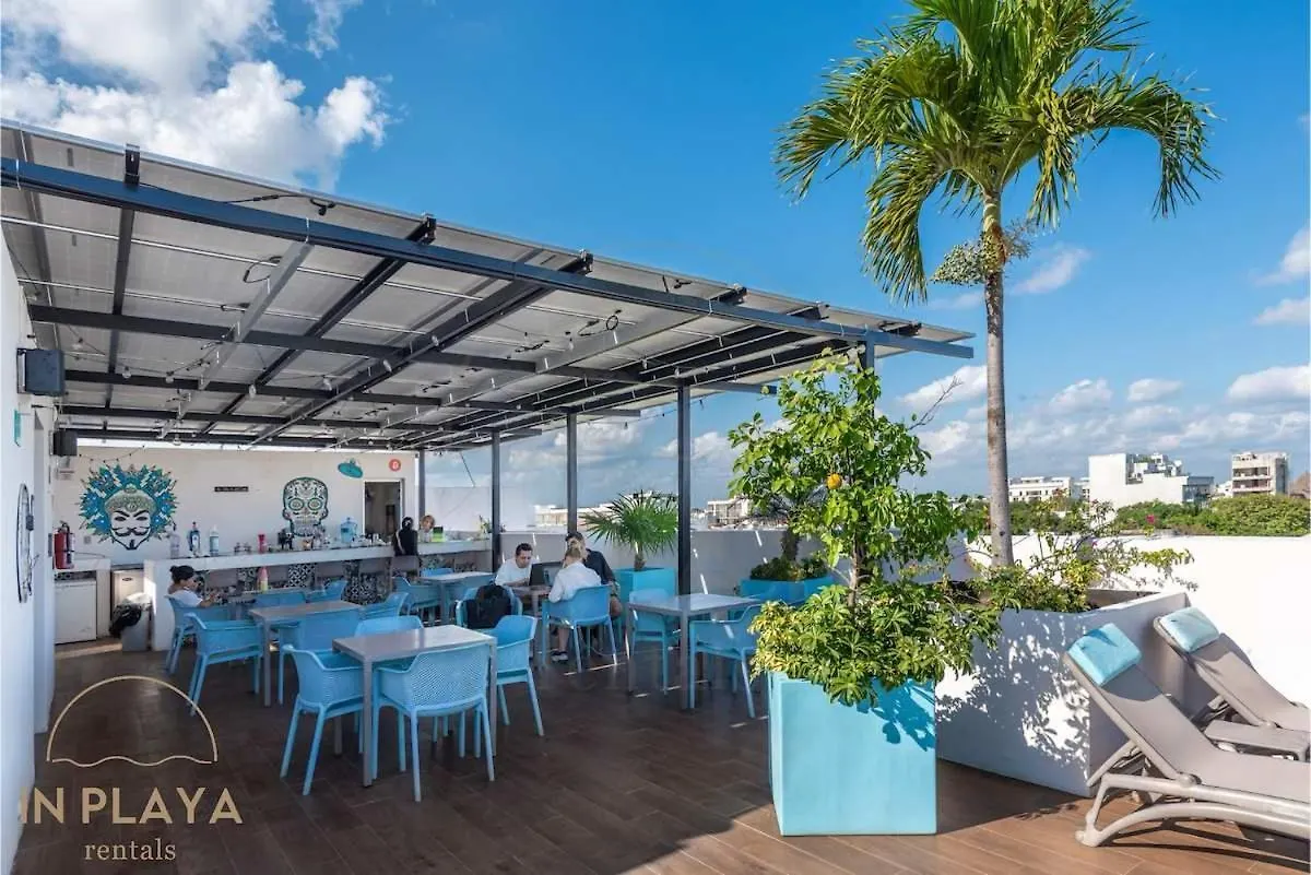 Private Room In Top Location With Pool Gym And Cinema Плая-дель-Кармен Мексика